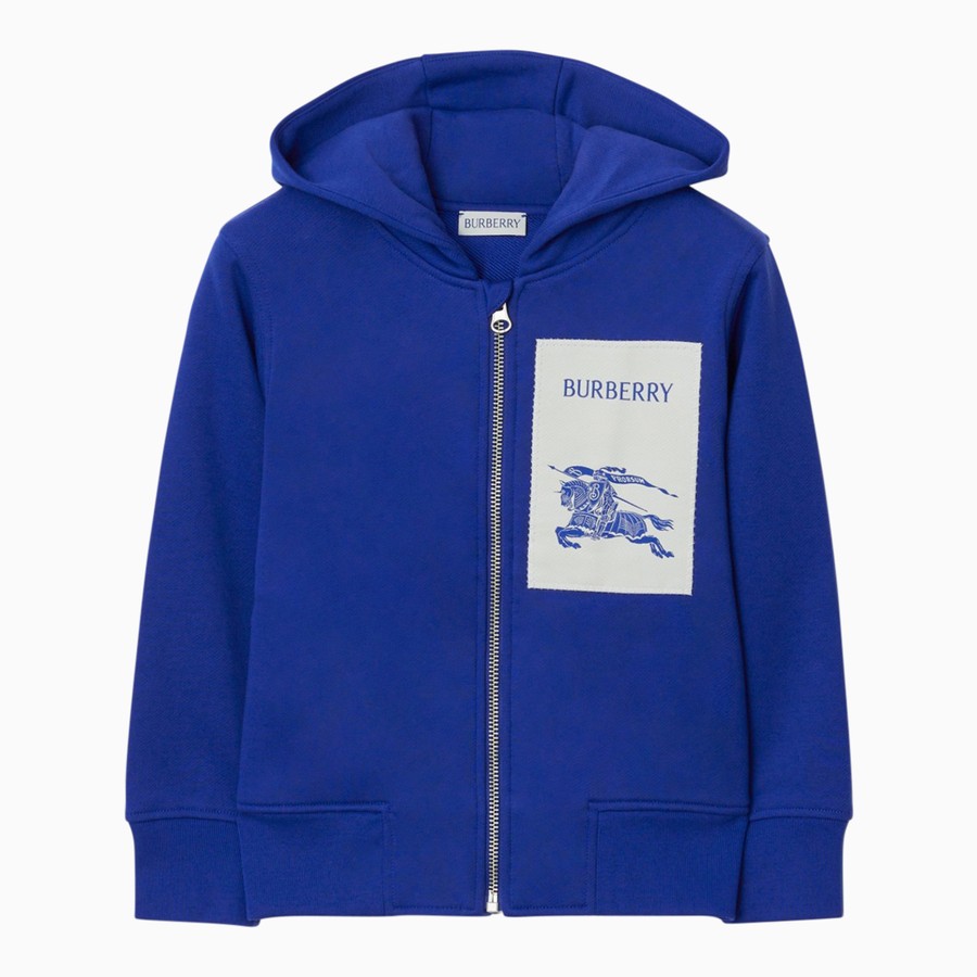 Blue drake hoodie